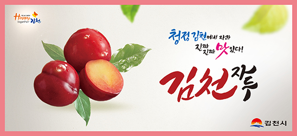 배너