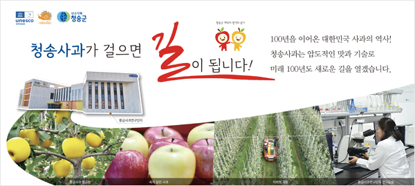 배너