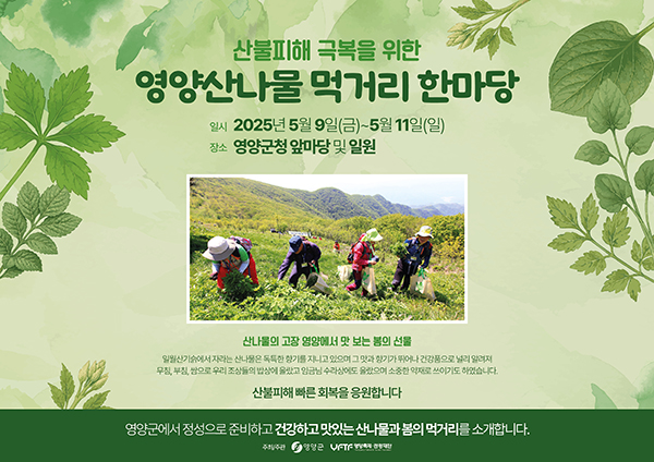 배너