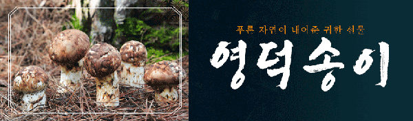 배너