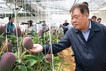 산청군, 기후변화 대응 신소득 작목 육성지원사업 '결실'