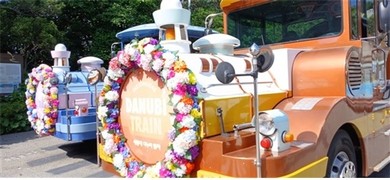 수국으로 물든 부산 태종대…5년 만에 돌아온 ‘수국꽃 문화축제’ 개막