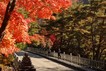 '여행하세요 산청'…군, 가을철 관광 활성화 프로그램 추진