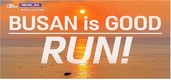 부산시, ‘런트립’ 도시 매력 세계로…해안·도심 잇는 러닝 코스 소개