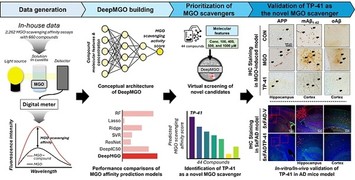 경상국립대 홍성민 교수팀, 딥러닝으로 알츠하이머 치료 신물질 발굴