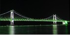 광안대교, 녹색으로 물든다…세계 녹내장 주간 맞아 특별 점등