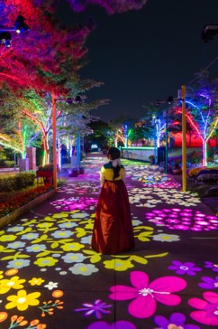 “해가 지는 순간”…김해가야테마파크 야간 개장