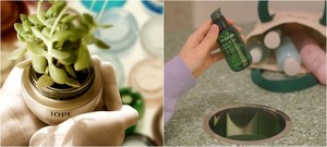 [ESG경영시대(63)] 꿀벌 지키고 화장품 용기 바꾸고…뷰티업계 ‘친환경’ 이야기
