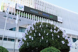 완도군, 청사 앞 태극기 나무 ‘눈길’