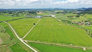 전남도, 영암에 딸기·토마토 스마트 농업단지 들어선다