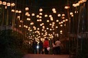 [포토] “죽녹원 최초 야간 개장” 밤에도 풍성한 담양대나무축제