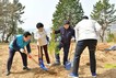 여수시, 식목일 기념 ‘섬박람회 소망나무 심기’ 행사 개최