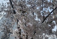 [기자수첩] 한국에도 봄이 올까요?