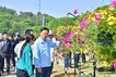 “꽃들아, 반갑다” 장성군, 봄축제 현장 점검