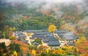 청도군, 자연·문화·체험 등 온 가족이 함께 즐기는 테마별 관광지 소개