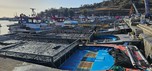 고흥군, 2025년산 물김 생산량 전국 1위 달성...생산액·위판액 모두 증가