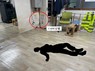 경북교육청 ‘119 비상벨’ 위기 상황서 당직전담자 생명 구조