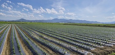 경북도, 이모작 공동영농으로 소득 2배…농업대전환 추진