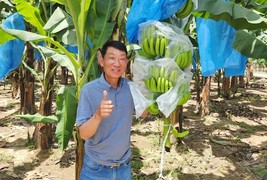 [기획] 예천 농부의 글로벌 도전…필리핀에서 바나나로 ‘인생 2막’ 연 고범림 대표