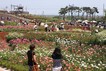 전남서 ‘반의반 값’ 알뜰한 여름 휴가 보내세요