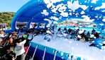 [포토]인제 여름애 인제애 빠지다…신나는 '버블파티'