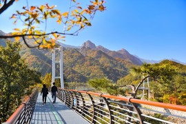 속초시 설악향기로 개통 1주년…누적 방문객 35만 명 돌파
