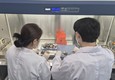 여름철 비브리오균 증가세…광주광역시, 수산물 주의