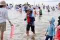 보성군, 전어 구워 한 입! 감자 찌워 한 입! 쪽파 한 젓가락! 보성전어축제