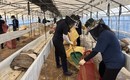 전남도, 7월 집중호우 피해복구비 2804억 원 확정