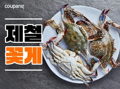 쿠팡 로켓프레시, ‘가을 꽃게 기획전’