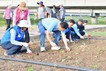 장성군, 황룡강 해바라기 식재…올해 가을꽃축제 준비 시작