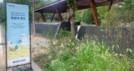 [가보니&비즈] 폭염인데 왜 시원하지?···경동나비엔이 만든 ‘정원의 온도’