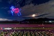 한국마사회 렛츠런파크 서울, 천고마비의 계절을 맞아 ‘별밤馬중 페스티벌’ 개최
