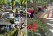 인천시 남동구, 마을 곳곳에 가을꽃 심어