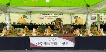 ‘2025 나주농업페스타’, 나주배 품평회 수상작 공개