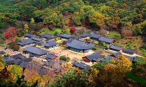 만추의 계절, 전남서 단풍길 걸으며 힐링하세요