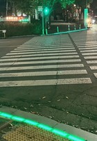 경기도, 수원-용인-고양-화성-성남-안산-안양-의정부시에 설치된 '바닥형 보행신호등' 특정감사