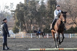 한국마사회, '제16회 승마지도사 자격시험' 합격자 발표