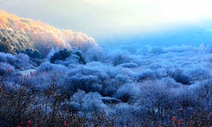 [포토] 인제 시크릿가든 새벽 서리가 자아낸 풍경 '신비'