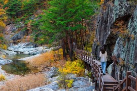 걷다 보면 울진이 보인다…철도로 떠나는 힐링 여행