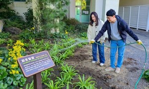 금호석유화학그룹, 임직원이 직접 가꾼 멸종위기종 ‘파초일엽’ 식재