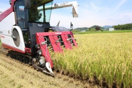 전남도, ‘벼 경영안정대책비’ 285억 지급…전국 최대