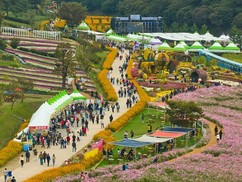 화순 고인돌 가을꽃 축제, 3년 연속 대한민국축제콘텐츠대상 수상