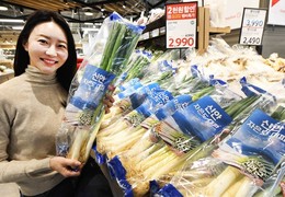 홈플러스, 신안 자은도 대파 출시…