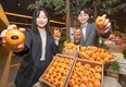 현대백화점, 고당도 감귤 ‘H스위트 17’ 선봬