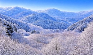 [포토] '겨울 왕국' 인제 비밀의 정원