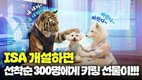 삼성증권, 설 연휴 유튜브 콘텐츠 시청-인형 키링 이벤트 진행