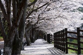 고흥군, 여행가는 달 ‘우주철도 999’ 특별운영...철도요금 100% 환급