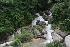 화천군, 산간 계곡 불법행위 뿌리 뽑는다