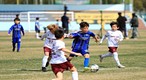[포토] 인제내린천배 전국 유소년 축구 페스티벌